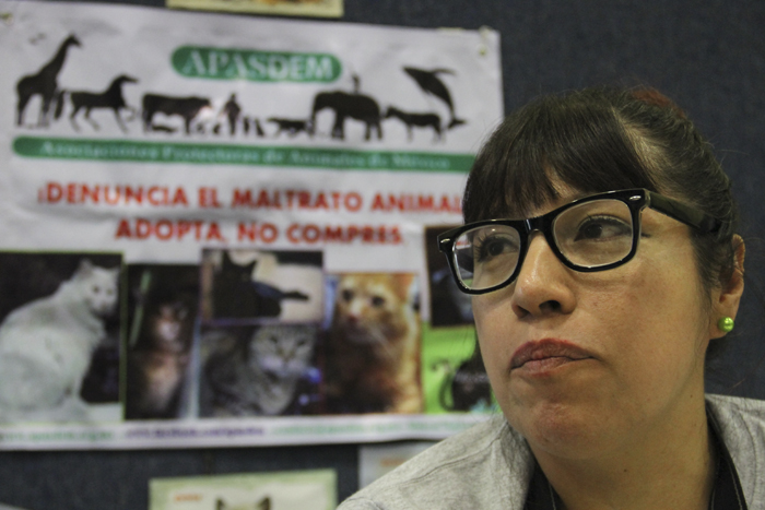 Adriana Pedraza de Apasdem se encargó de dar difusión a una campaña contra el maltrato animal en México. Foto: Luis Barrón/SinEmbargo.