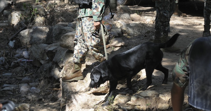 Operativo de la Secretaría de Marina para la detección de fosas clandestinas en Acapulco, 2012. Foto: Cuartoscuro