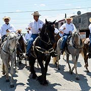 El Bronco cabalga por la ciudad, Foto: Sanjuana Matínez