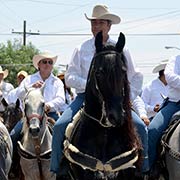 El Bronco cabalga por la ciudad, Foto: Sanjuana Matínez