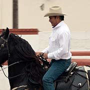 El Bronco con Tornado, Foto: Sanjuana Matínez