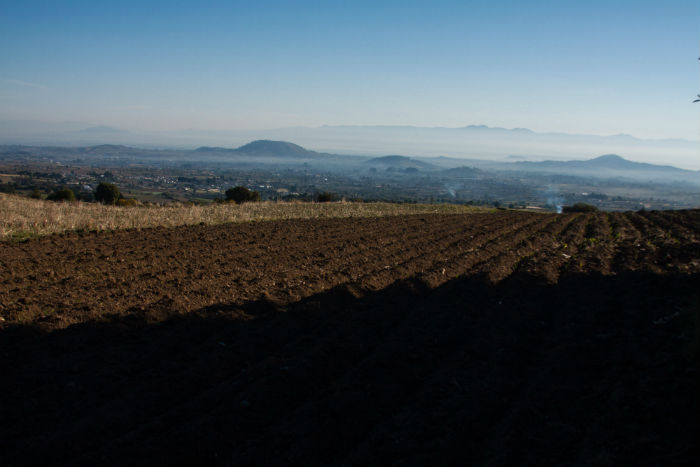 Los Apoyos Gubernamentales Favorecen Más a Las Tierras De Los Grandes Productores Foto Cuartoscuro