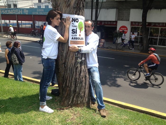 Los Vecinos Que Defienden Los árboles Del Camellón Se Organizaron Para En Parejas Abrazar a Algunos De Los árboles Foto Mayela Sánchez Sinembargo