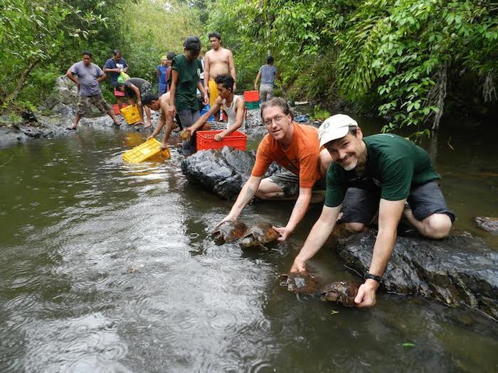 Voluntarios liberando algunos ejemplares a su medio natural. Foto: Katala fundation