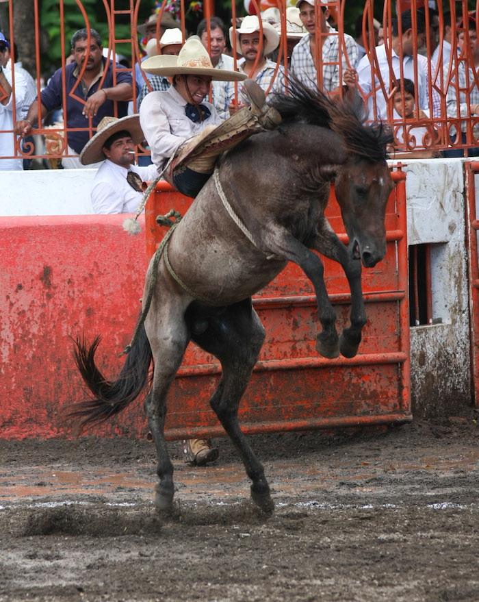 Charro En La Celebración Del Día Nacional Del Charro Foto Cuartoscuro