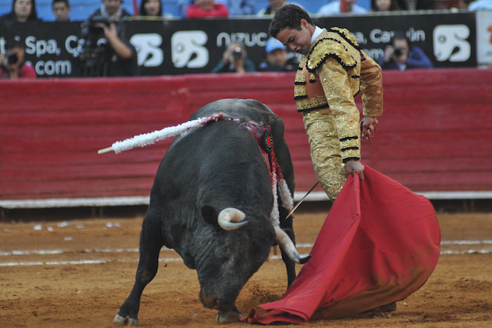 Legisladores propusieron prohibir la participación de niños en temas de tauromaquia. Foto: Cuartoscuro