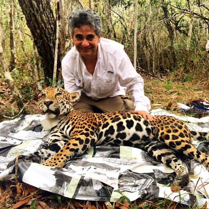 El Dr. Gerardo Ceballos en trabajo de campo durante un proyecto de conservación del jaguar. Foto: Especial