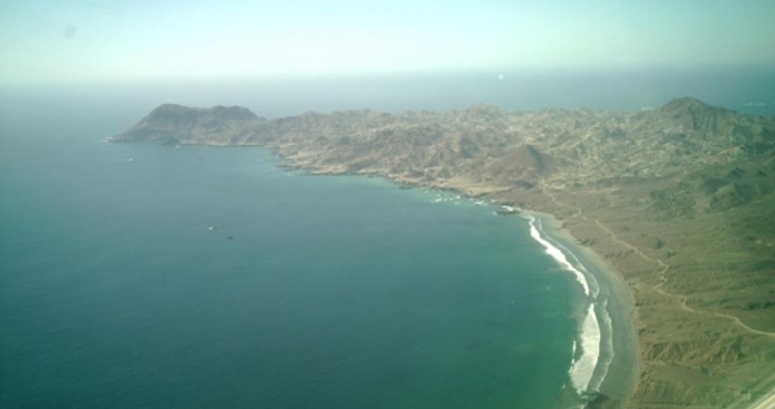 Los venado Bura se distribuyen del centro al norte de la isla, en las partes altas. Foto: Octavodia.mx