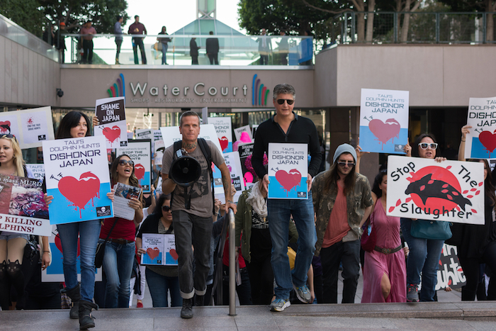 Manifestación contra matanza anual de delfines en Japón. Foto: Shutterstock