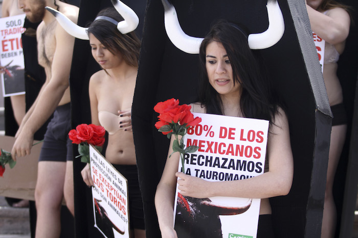 Diversas organizaciones y activistas se han pronunciado contra la tauromaquia en el país. Foto: Cuartoscuro