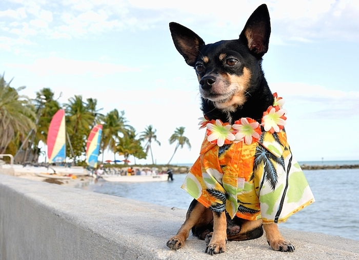 ¡Ahora sí: a disfrutar del viaje! Foto: Shutterstock