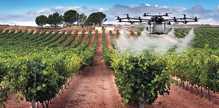 Monitoreo de cultivos. Foto: Drone LabMéxico. 