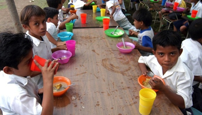 La Alimentación De La Humanidad Dentro De Pocas Décadas Es Una Preocupación Latente Foto Efe