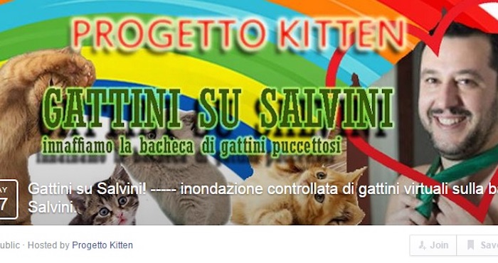 Progetto Kitten Invitó a Sus Participantes a Que Inundaran La Página De Facebook De Salvini Con Imágenes De Gatos Y Gatitos Foto Facebook