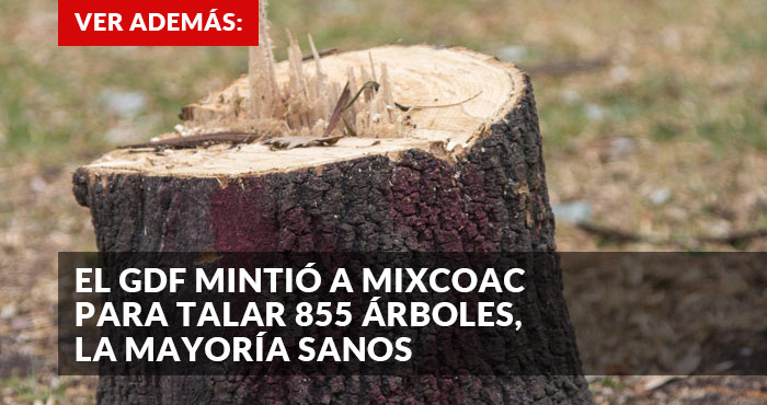 Mixcoac promo