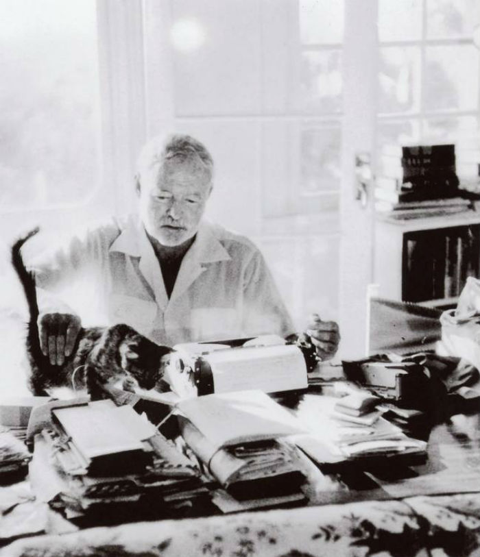 Hemingway y uno de sus gatos. Foto: Especial