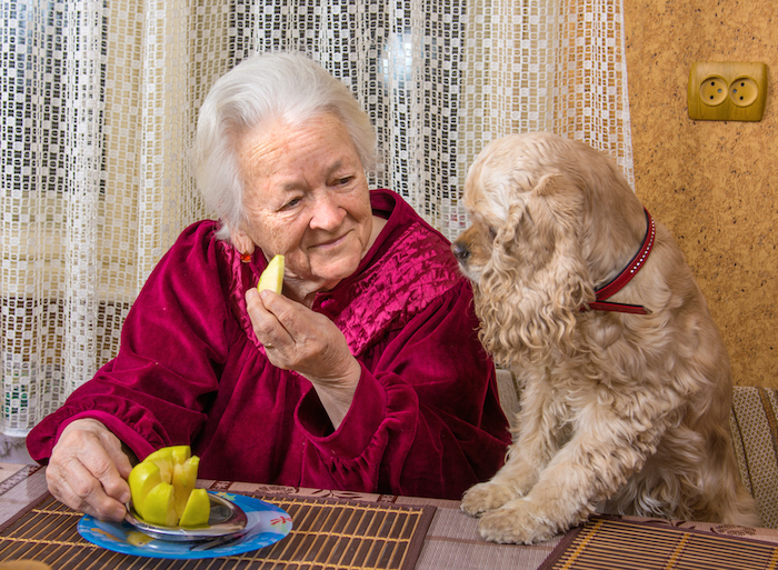 Una mascota puede ser un contra la soledad. Foto: Shutterstock