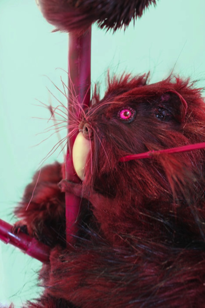 La taxidermia sirvió como elemento unificador para las características de estos animales imaginarios. Foto: Modern Naturalism