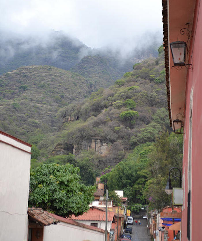 Toma de la selva baja de Malinalco. Foto: Museovivo.org