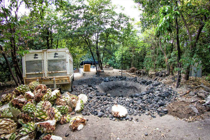 Preparando el famoso espadín de la marca Pierde Almas, de Oaxaca. Foto: Facebook Pierde Almas