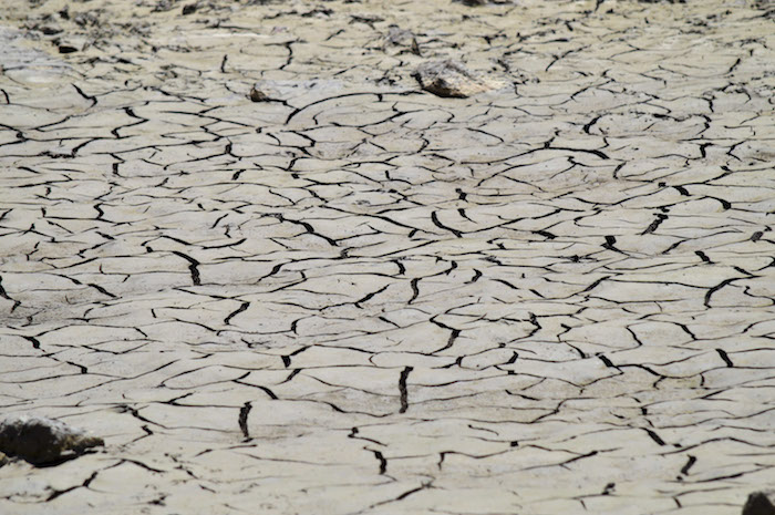 Diversos Expertos En El Encuentro Indicaron El Descuido Del Gobierno En El Tema Del Cambio Climático Foto Cuartoscuro