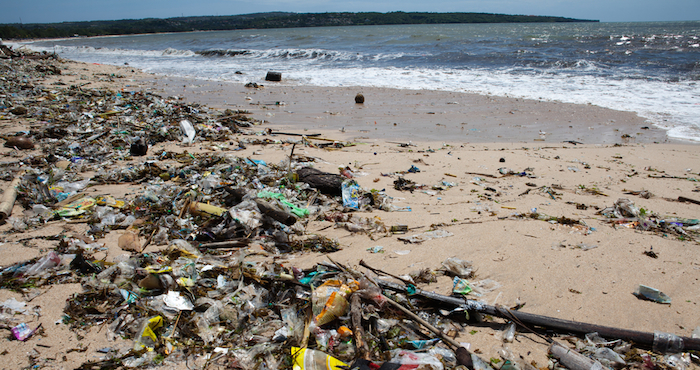 La contaminación es apenas uno de los múltiples factores causantes de la crisis de los ecosistemas marinos. Foto: Shutterstock