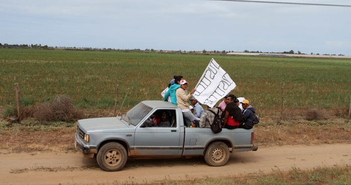 Jornaleros De San Quintín Foto Cuartoscuro