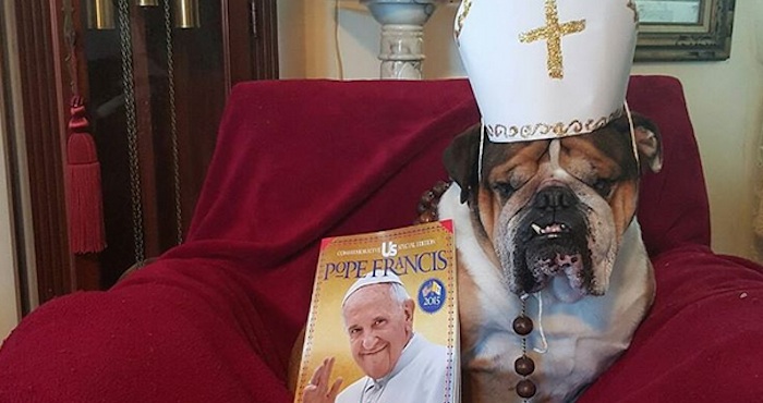 Usuarios De Instagram Subieron Las Fotos De Sus Perros Disfrazados Del Papa Tras Su Visita a Eu Foto Instagram