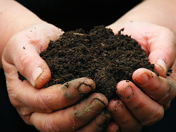 El proyecto es coordinado por la Coordinación de Ciencia Animal y el Área de Agroecología de la UAAAN. Foto: Shutterstock