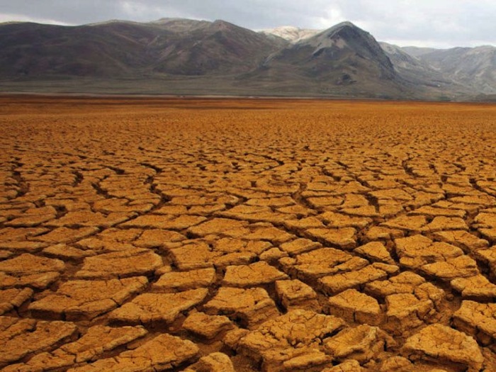 Muchos estiman que debido al cambio climático los bosques tropicales se desertificarán, pero puede que no sea exactamente así. Foto: EFE