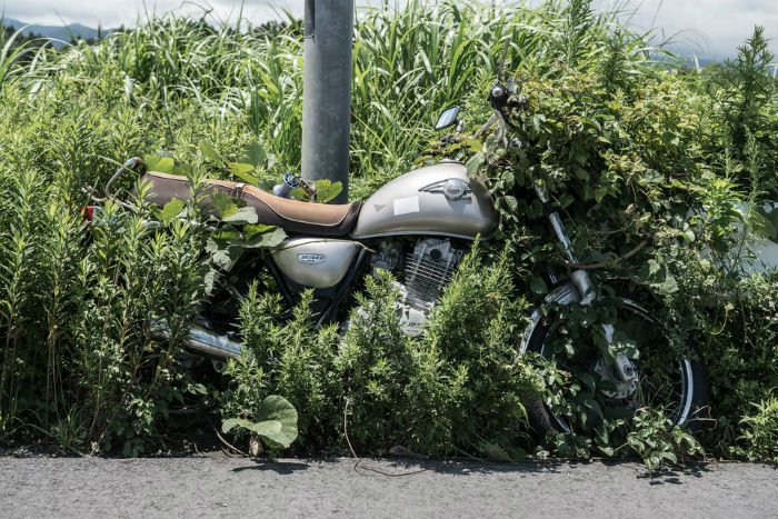 Una Moto Junto a Un Poste De Luz En El Año Desde Que Ocurrieron Los Desastres La Maleza Ha Crecido En Gran Parte De La Rueda Foto Arkadiusz Podniesinski Rex Shutterstock