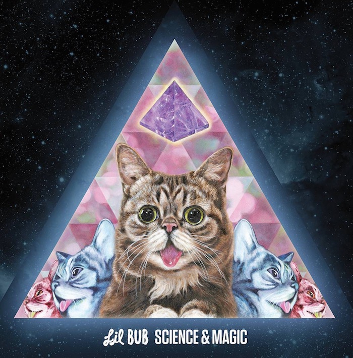 Portada Del Albúm Musical De Lil Bub Foto Instagram Lil Bub