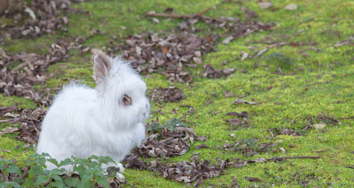 Foto: Shutterstock