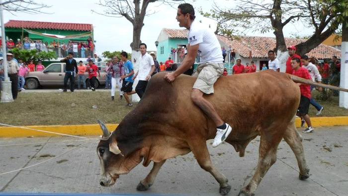 Desde El Las Autoridades Municipales Se Comprometieron a No Volver a Incurrir En Maltrato Animal Foto Facebook Unidos Contra El Embalse De Toros En Tlacotalpan Veracruz