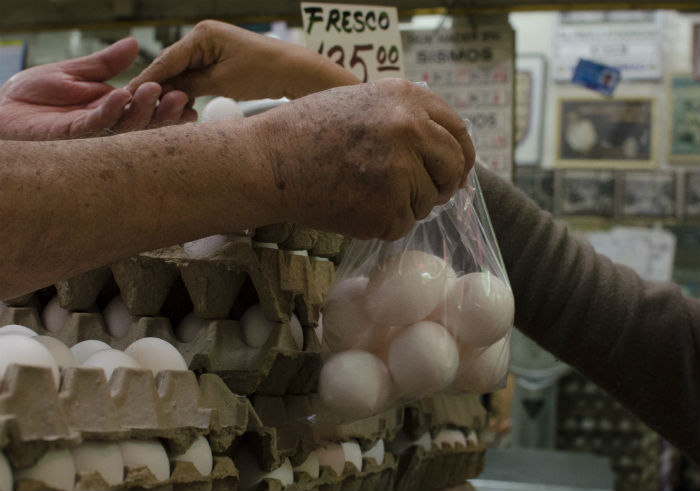 De acuerdo con la Profeco, del 24 al 28 de agosto, el precio del huevo osciló entre los 20 y 50 pesos por kilogramo, registrando su mayor variación a la alza durante este periodo. Foto: Cuartoscuro