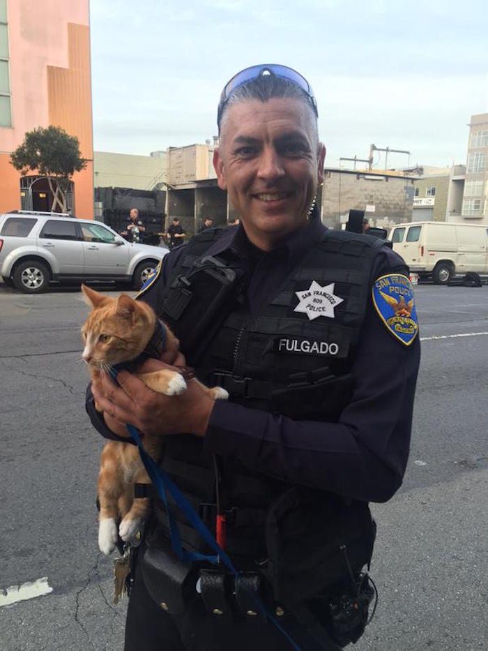 "Nunca subestimes el poder de un amor de los dueños de su mascota #kitten! Gran trabajo #SFPD negociaciones; escena claro", publico una  ofical del Departamento de San Francisco. Foto Twitter vía @OfficerGrace