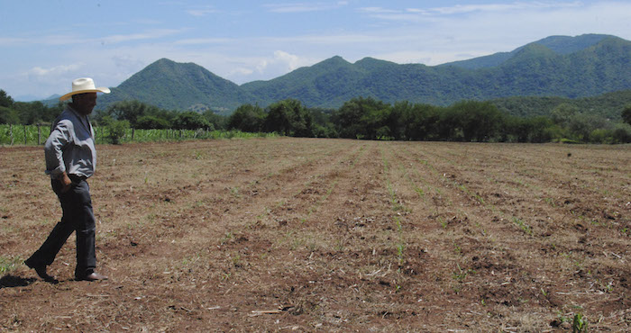 Guerrero es una de las entidades más afectadas por la sequía este año. Foto: Cuartoscuro