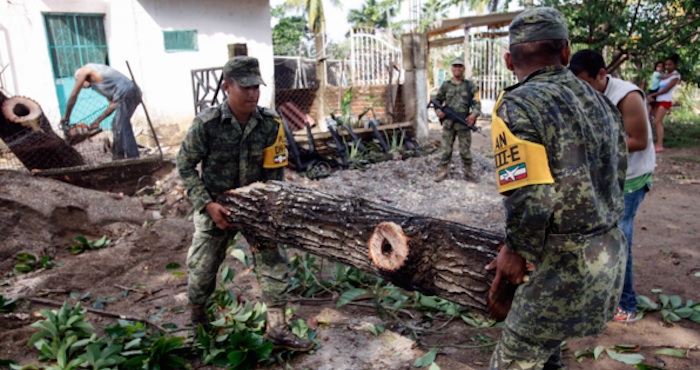 Alrededor De Mil Cultivos Afectados En Especial De Plátano Y Papaya Foto Cuartoscuro