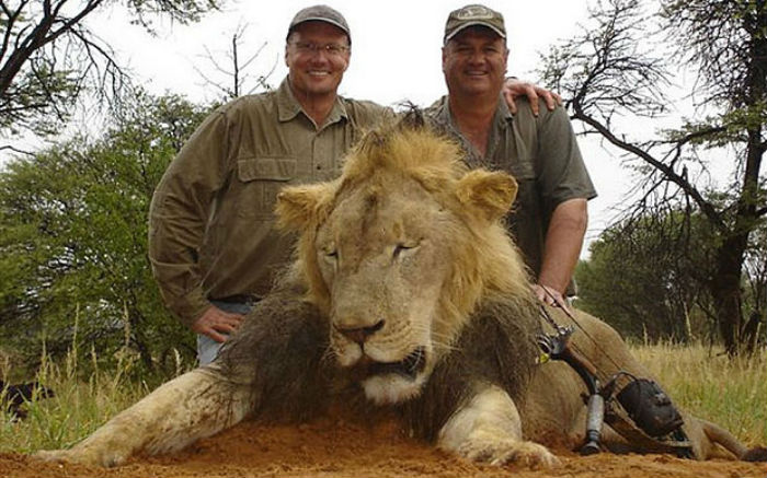 Gobierno De Zimbabue No Pedirá La Extradición Del Dentista Que Dio Muerte El León Cecil Foto Cortesía De the Telegraph