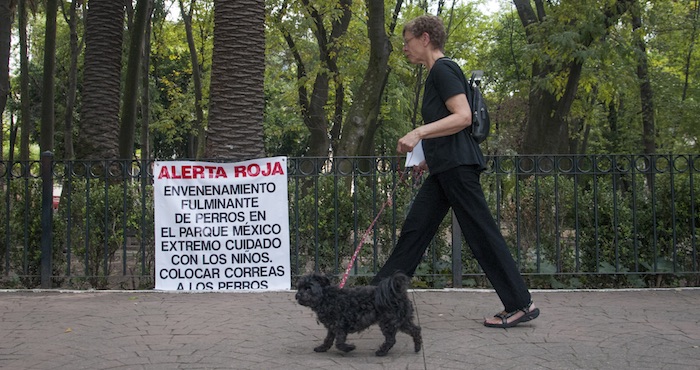 a Finales De Septiembre Vecinos De La Condesa Denunciaron El Envenenamiento De Perros En El Parque México Foto Cuartoscuro