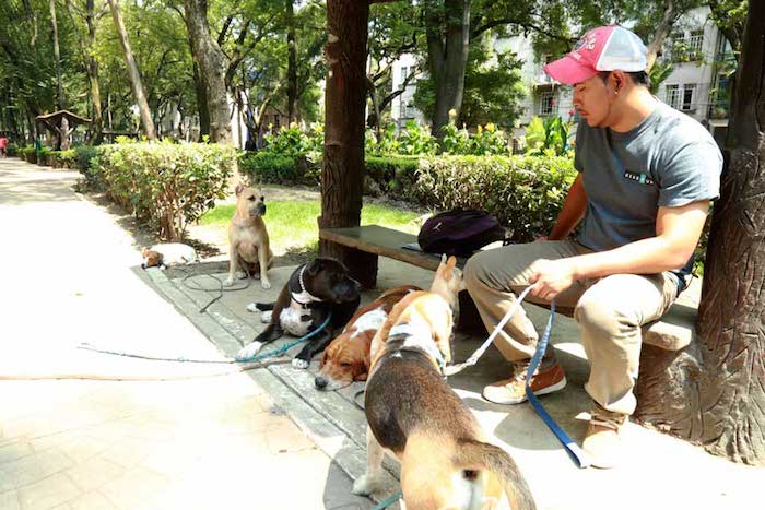 Vecinos y paseadores de perros manifestaron preocupación por los sucesos. Foto: Luiz Mendoza, SinEmbargo