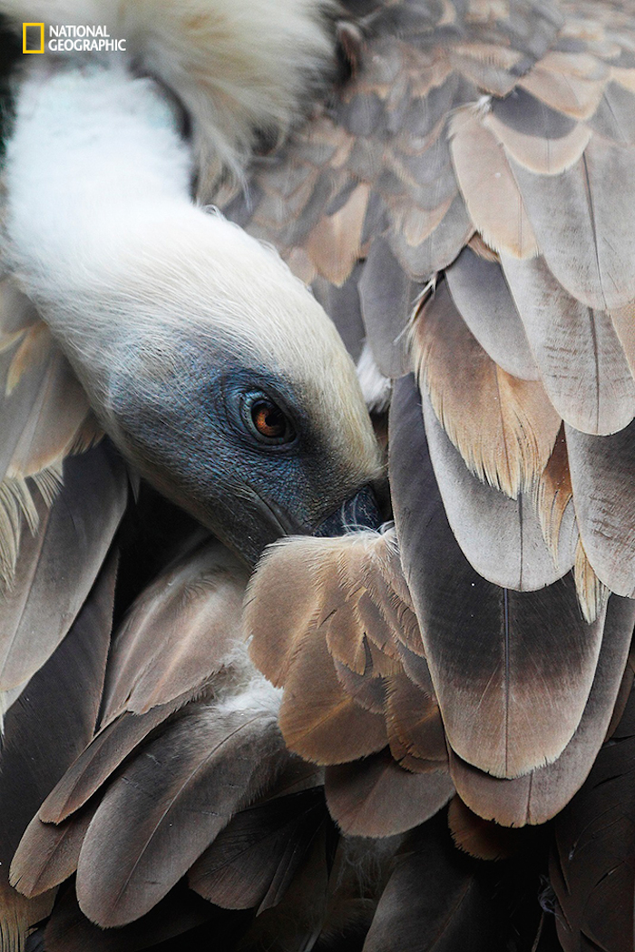 Foto: Andres Lopez / 2015 National Geographic Photo Contest