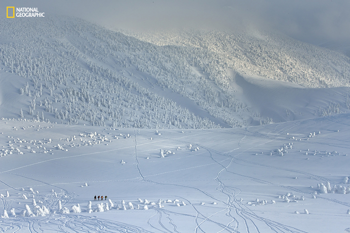 Foto: Sho Shibata /2015 National Geographic Photo Contest