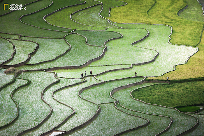 Foto: Qu nh Anh Nguyen /2015 National Geographic Photo Contest 