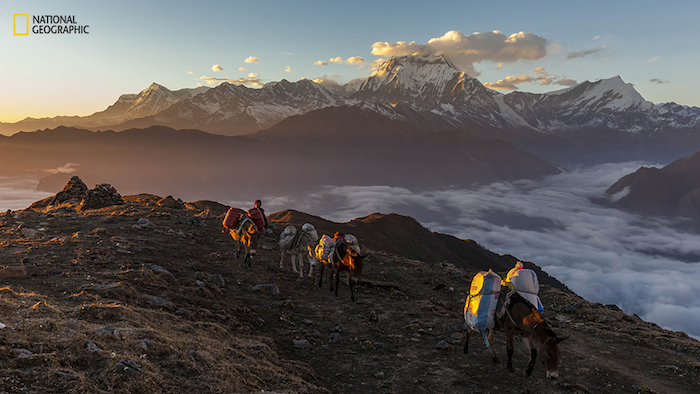 Foto: Jonathan Abdipranoto /2015 National Geographic Photo Contest