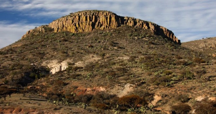 Desierto De Zacatecas Foto Especial