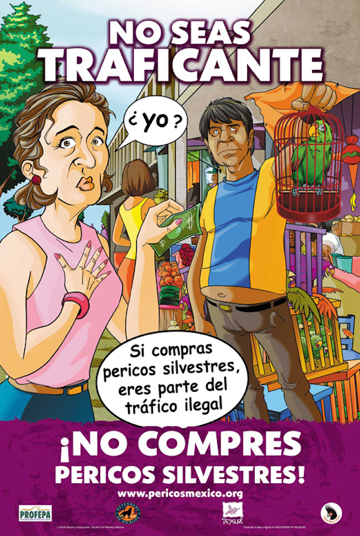 Carteles, libros, cómics, videos y material didáctico pueden ser descargados de forma gratuita en la página de la campaña. Foto: Pericosmexico.org