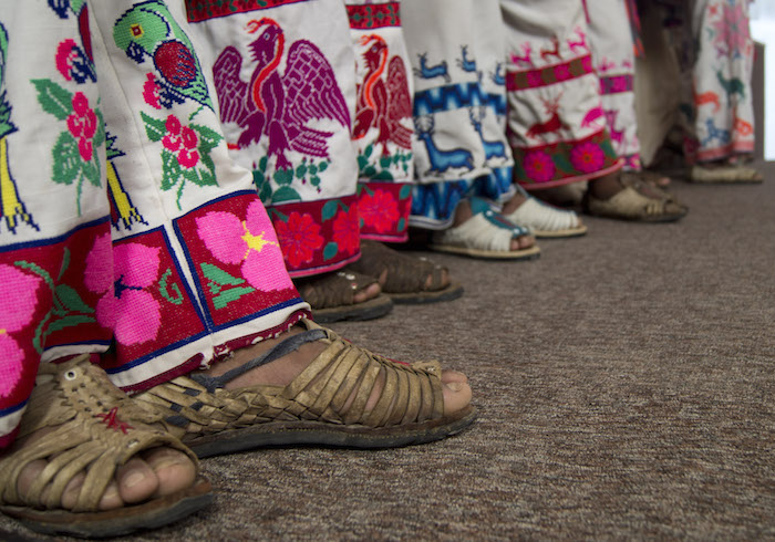 Planta Ritual Y Milenaria De Los Indígenas Huicholes Convertida En Atracción Para Algunos Turistas Que Llegan a México Foto Cuartoscuro