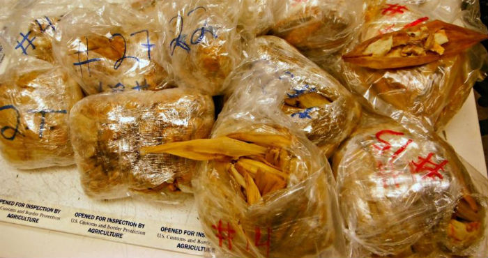 Agentes Especializados En Productos Agrícolas Confiscaron El Pasado Día De Noviembre Los Tamales Envueltos En Bolsas Plásticas Individuales Foto Cbp