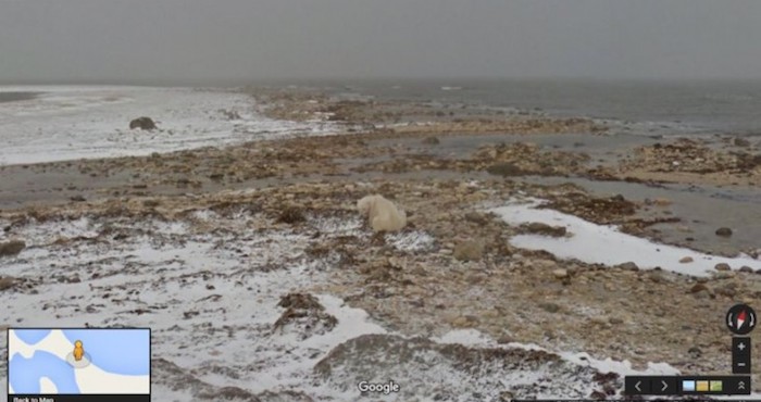 Google Lanza Una Campaña Para Hacer Consciencia Sobre El Cambio Climático Foto Especial